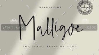 demo-attachment-37-3a4cc2d0-a2a5-45b7-847d-e2b1452df304